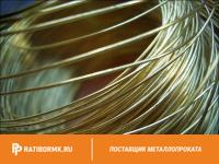 Проволока пружинная 9 мм ст. 60С2А ГОСТ 14963-78