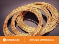 Проволока бронзовая 2.5 мм БрОЦ4-3 ГОСТ 16130-90