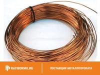 Проволока бронзовая 0.75 мм БРОЦСН3-8-4-1